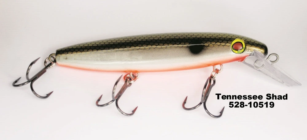 Bucher Suspending Raider 8 Bucher Suspending Raider - Image 6