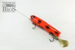 Smity Flaptail 17 Smity Flaptail -Fishing Discount Shop IMG 0503 copy