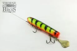 Smity Flaptail 21 Smity Flaptail -Fishing Discount Shop IMG 0507 copy