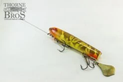 Smity Flaptail 22 Smity Flaptail -Fishing Discount Shop IMG 0508 copy