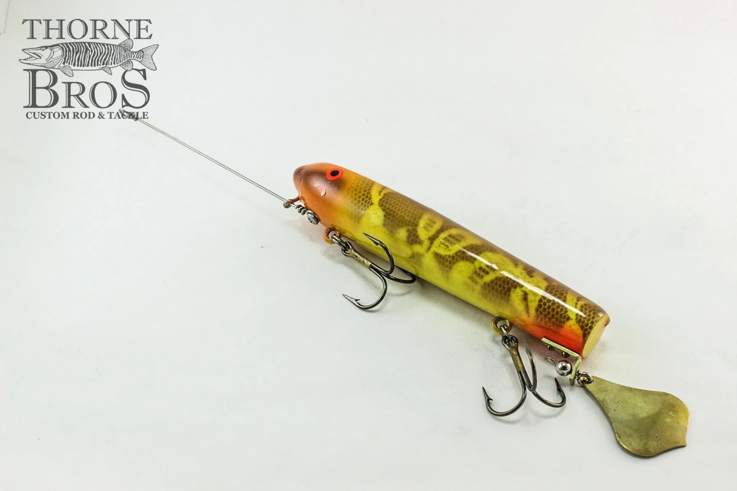 Smity Flaptail 10 Smity Flaptail - Image 8