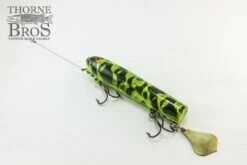 Smity Flaptail 23 Smity Flaptail -Fishing Discount Shop IMG 0509 copy