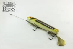 Smity Flaptail 27 Smity Flaptail -Fishing Discount Shop IMG 0513