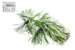 Musky Mayhem Trolling Girls -Fishing Discount Shop IMG 0538 copy